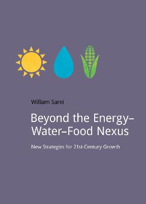 Book cover for Beyond the Energy–Water–Food Nexus