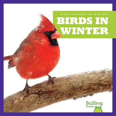 Book cover for Birds in Winter