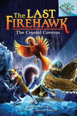 Cover of The Crystal Caverns: A Branches Book