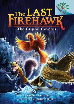 Cover of The Crystal Caverns: A Branches Book