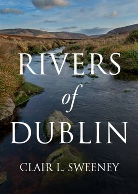 Book cover for Rivers of Dublin