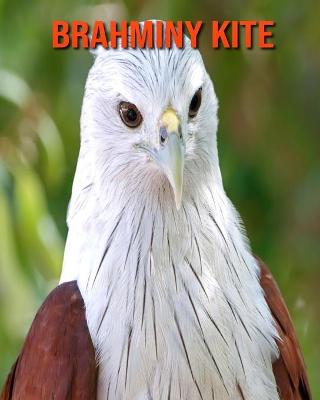 Book cover for Brahminy kite