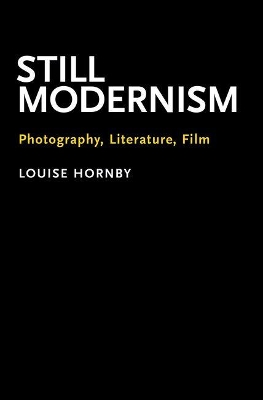 Book cover for Still Modernism