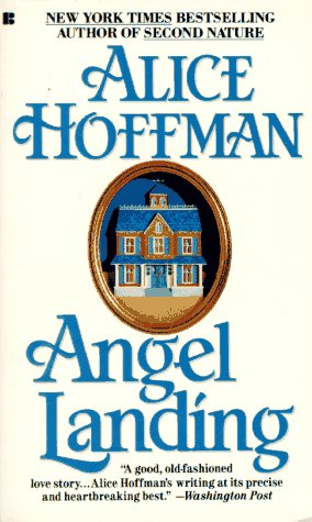 Book cover for Angel Landing