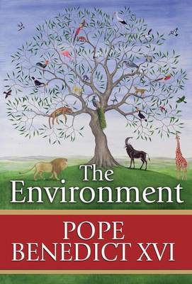 Book cover for The Environment