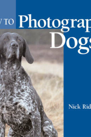 Cover of How to Photograph Dogs