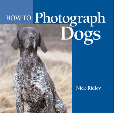 Book cover for How to Photograph Dogs