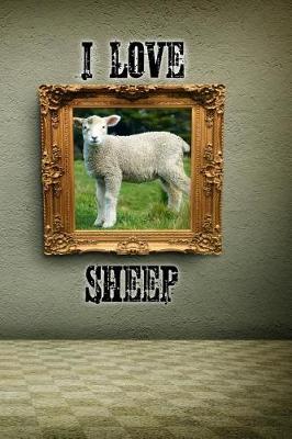 Book cover for I Love Sheep