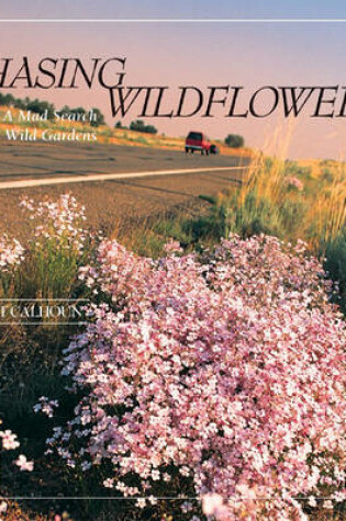 Cover of Chasing Wildflowers