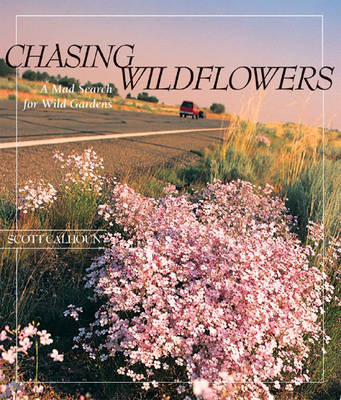 Book cover for Chasing Wildflowers