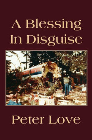 Cover of A Blessing in Disguise