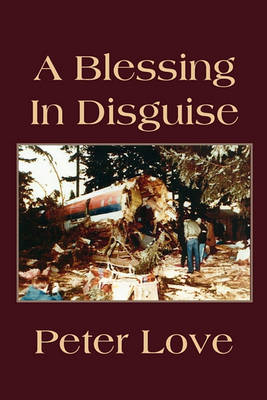 Book cover for A Blessing in Disguise