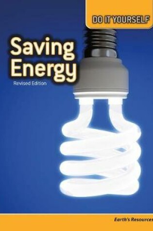 Cover of Do it Yourself Saving Energy Earths Resources