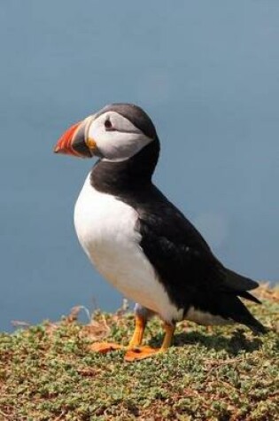 Cover of The Atlantic Puffin Journal