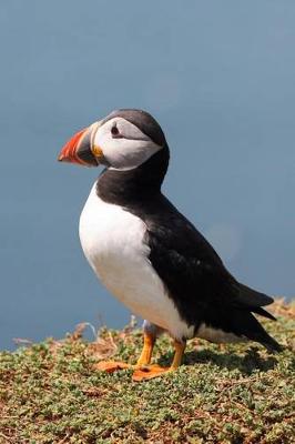 Book cover for The Atlantic Puffin Journal