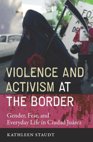 Book cover for Violence and Activism at the Border