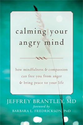 Book cover for Calming Your Angry Mind