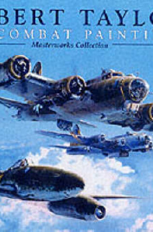 Cover of Air Combat Paintings