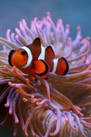 Cover of Orange and White Clownfish with Anemone, for the Love of the Sea