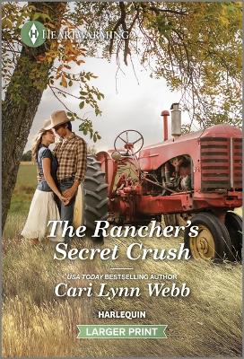 Book cover for The Rancher's Secret Crush