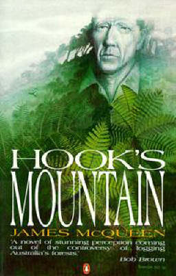 Book cover for Hook's Mountain