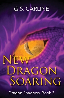 Book cover for New Dragon Soaring
