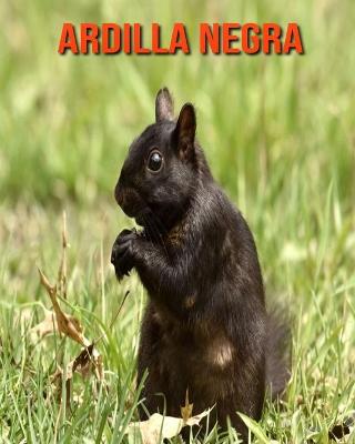 Book cover for Ardilla negra