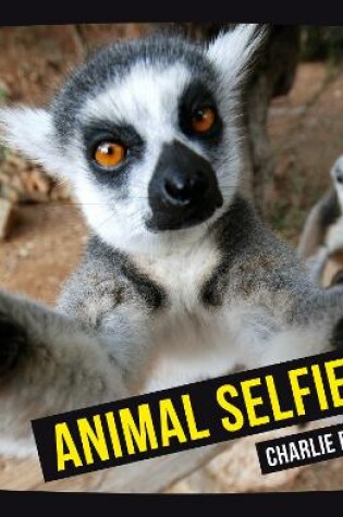 Cover of Animal Selfies