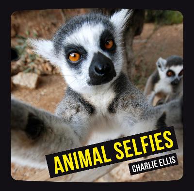 Book cover for Animal Selfies