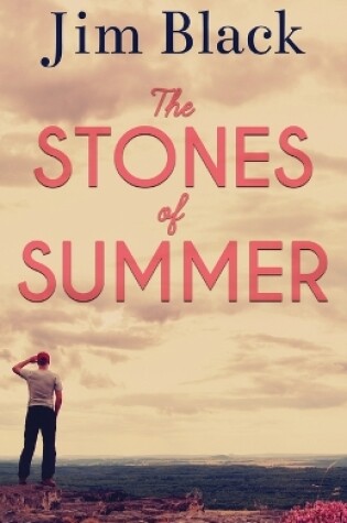 Cover of The Stones of Summer