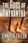 Book cover for The Gods of Amyrantha