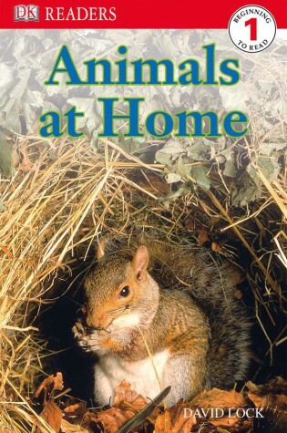 Cover of DK Readers L1: Animals at Home