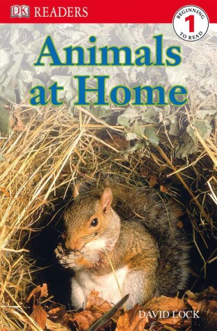 Book cover for DK Readers L1: Animals at Home