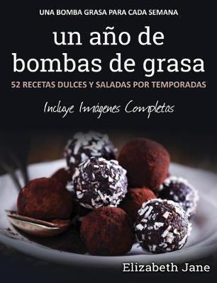 Book cover for Un año de bombas de grasa