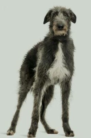 Cover of Scottish Deerhound