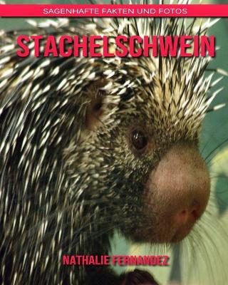 Book cover for Stachelschwein