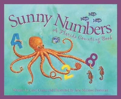 Cover of Sunny Numbers