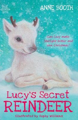 Book cover for Lucy's Secret Reindeer