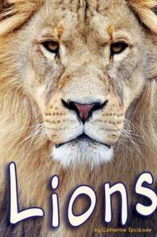 Cover of Lions