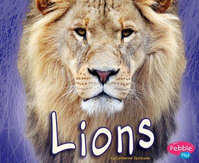 Cover of Lions