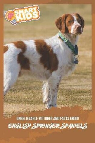 Cover of Unbelievable Pictures and Facts About English Springer Spaniels