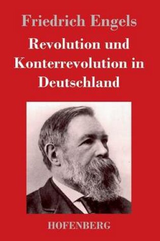 Cover of Revolution und Konterrevolution in Deutschland