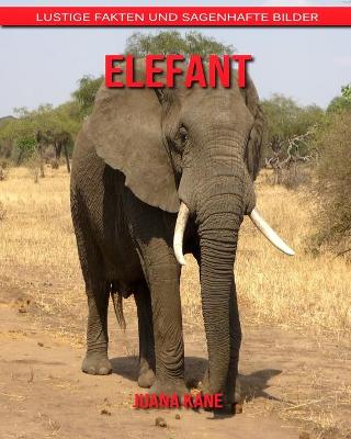 Book cover for Elefant