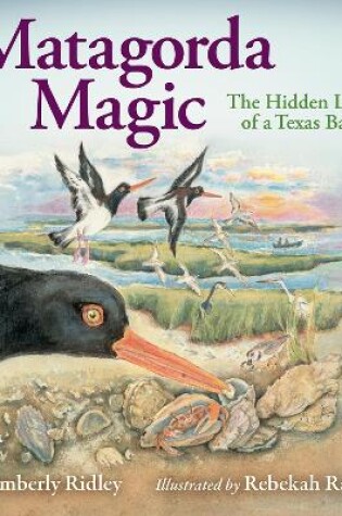 Cover of Matagorda Magic