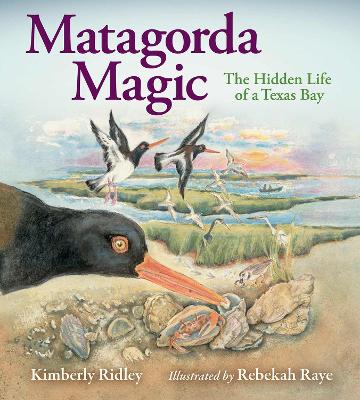 Book cover for Matagorda Magic