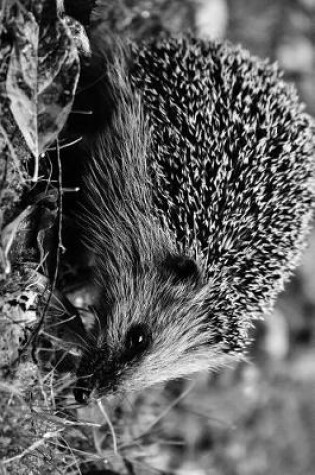 Cover of Cute Little Hedgehog in Black and White Journal