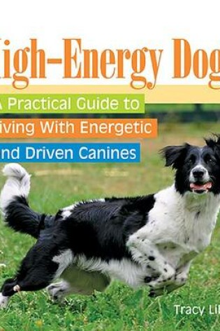 Cover of High-Energy Dogs