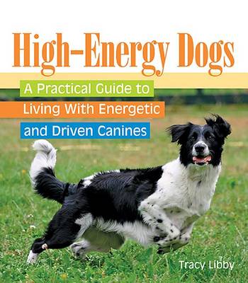 Book cover for High-Energy Dogs