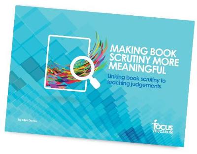 Book cover for Making Book Scrutiny More Meaningful