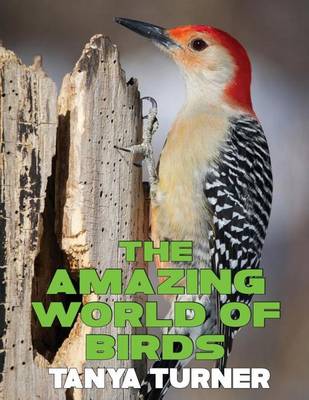 Cover of The Amazing World of Birds
